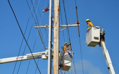 Vehicle struck hydro pole in Kitchener, causing temporary power outage