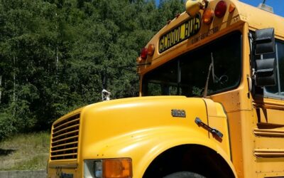 9-year-old boy dead after being struck by school bus in Almonte