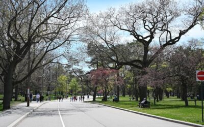 Cyclist seriously injured after colliding with vehicle near High Park