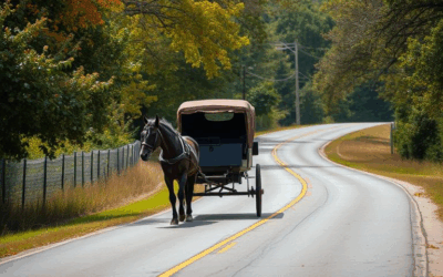 Four injured in serious collision involving horse and buggy near Matheson