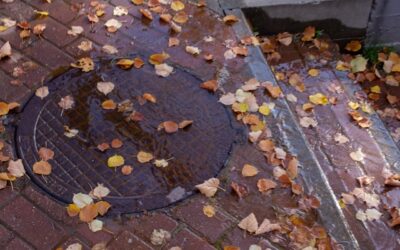 Slip and Fall Accidents in Ontario: Determining Liability