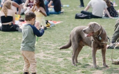Dog Bite Cases Involving Children in Ontario: Legal Challenges and Considerations