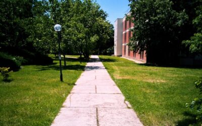 Understanding and Preventing Slip and Fall Accidents in Ontario
