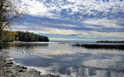 Ashbridges Bay 车辆坠入水中，无人员受伤