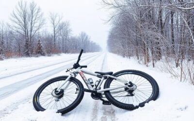 Cyclist dead after being hit by fleeing motorist in Brant County