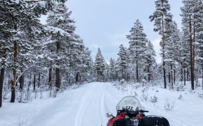 31-year-old man seriously hurt following snowmobile crash in Scugog