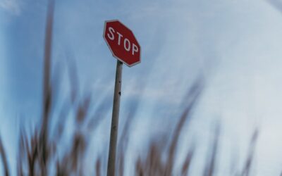 Crossing guard critically injured after being struck by hit-and-run vehicle in Barrhaven