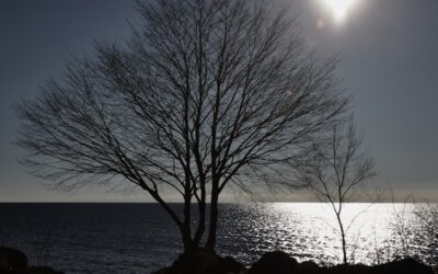 Vehicle with unknown number of occupants plunges into lake prompts SIU investigation