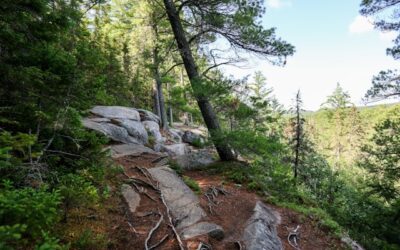 30-year-old man dead after falling off cliff in Osprey Heights