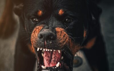 Woman attacked by several loose dogs in London’s east end