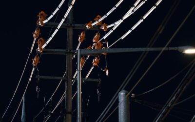 Driver, 72, dies from injuries after striking hydro pole near Mount Forest