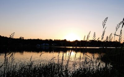 Two Toronto boaters dead after boat crash on Lake Rosseau