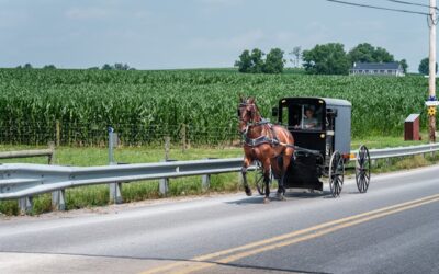 Horse buggy operator seriously hurt after collision with pickup truck in Huron County