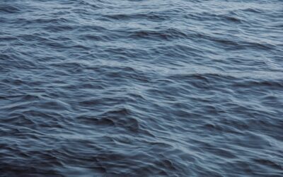 Woman dead after being swept by water at Mississauga’s Jack Darling Park